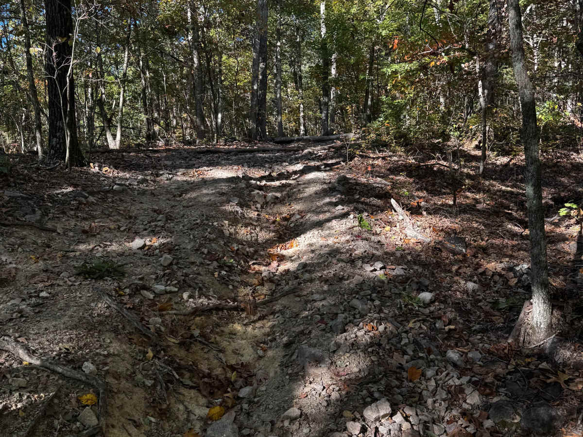 Big Oooof trail photo