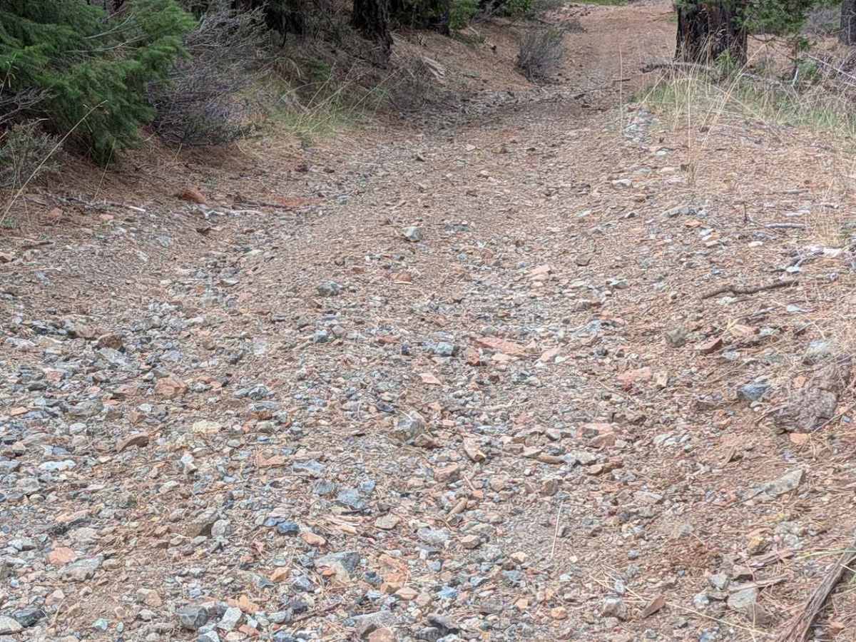 Grouse Prairie Road - FS 1N05 photo 6