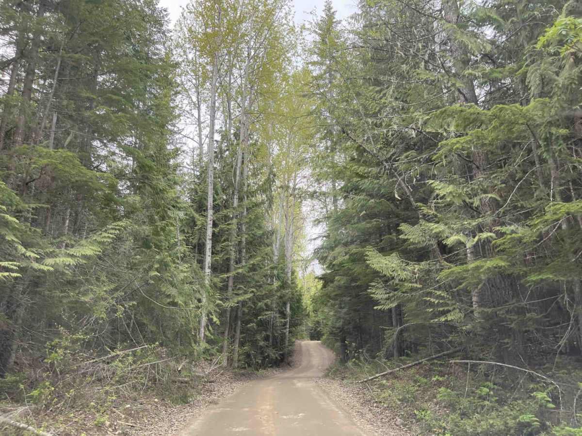 Hidden Lake Road photo 3