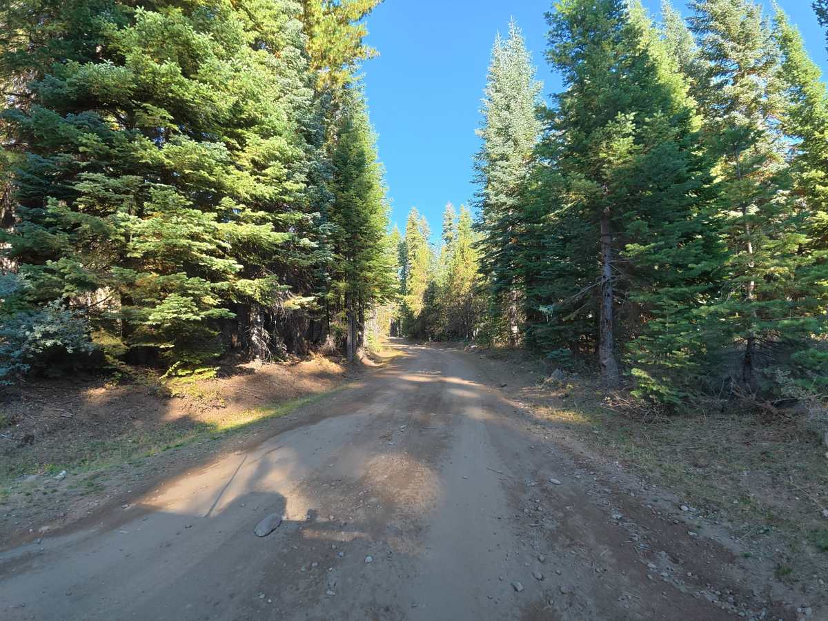 FS 6N17 North trail photo