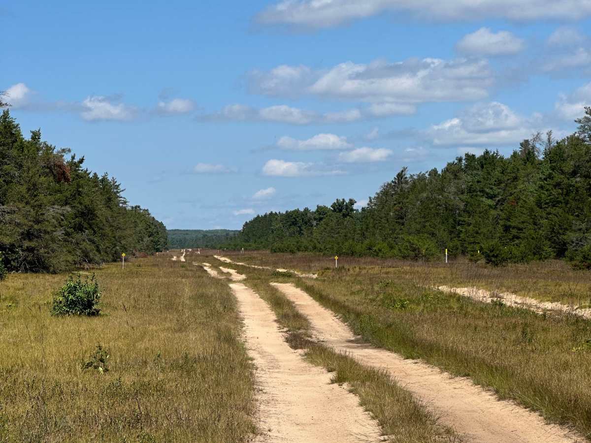 Wilson Spur photo 4