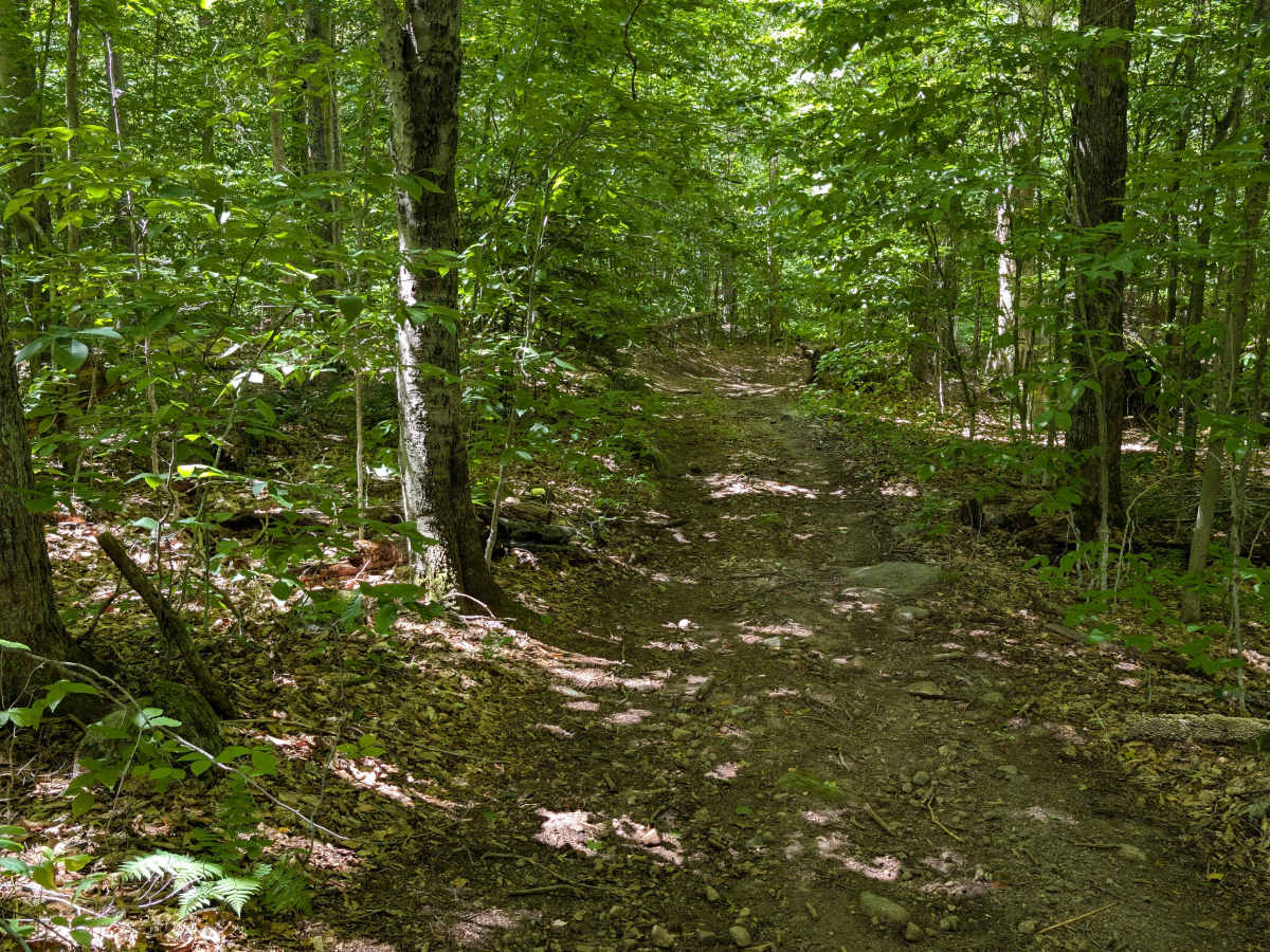 Grass River Trail Connector  photo 5