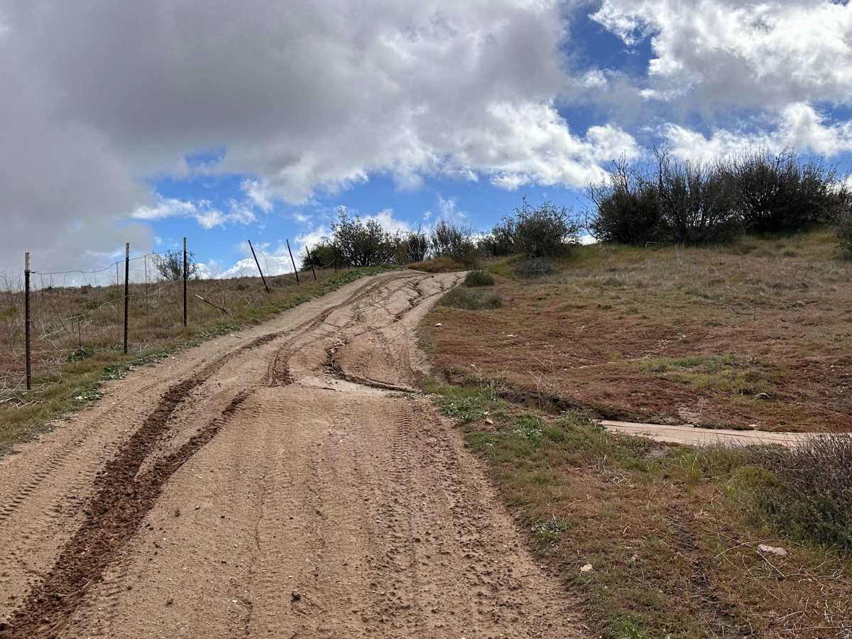 Baldy Bald Climb photo 3