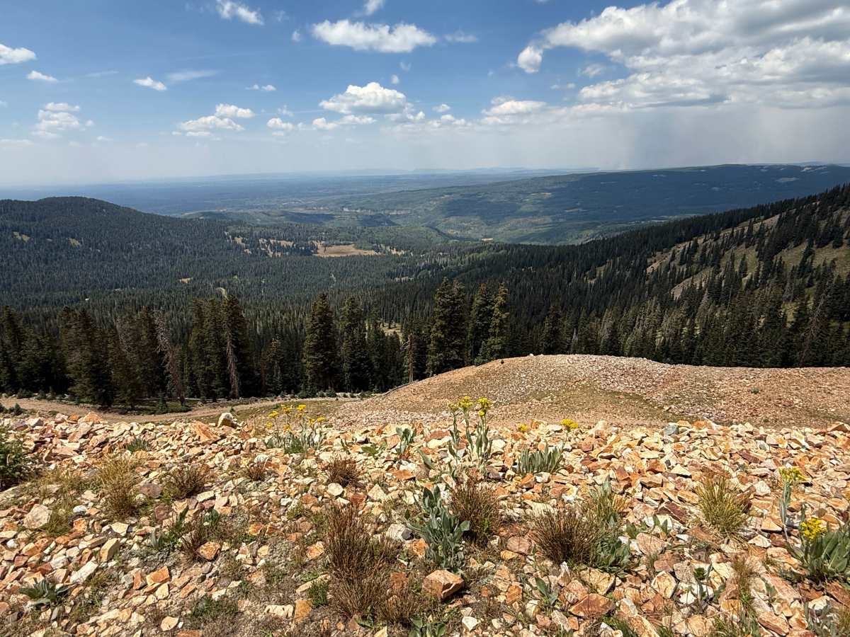 Forest Service Road 566 H photo 3