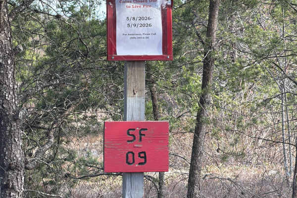 SF 09