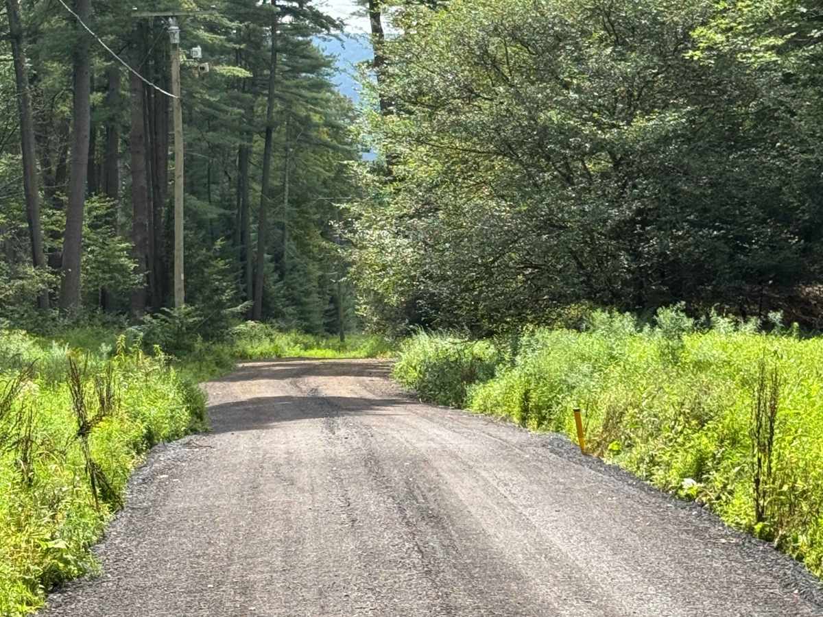 Upper Grays Run Road photo 5