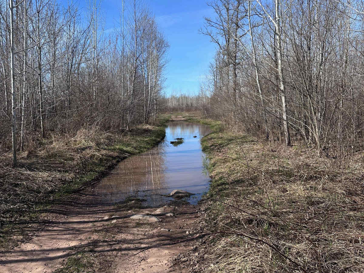 Trout Brook Trail photo 5