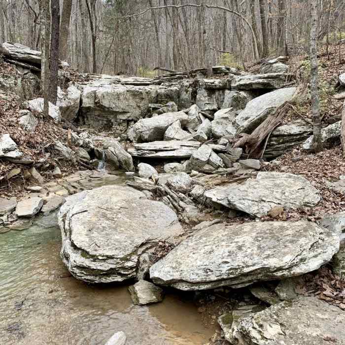 Near Old Railroad Bed to Alms House