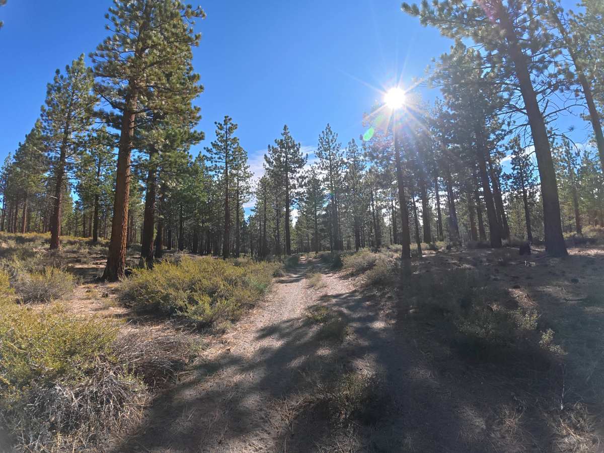 FS 2S122 trail photo