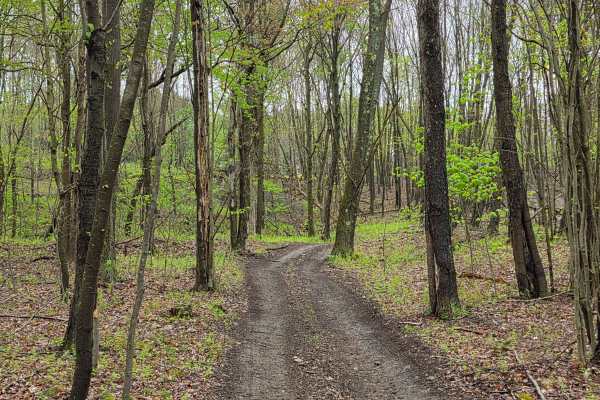 Trail 15B - Rock Run Recreation Area