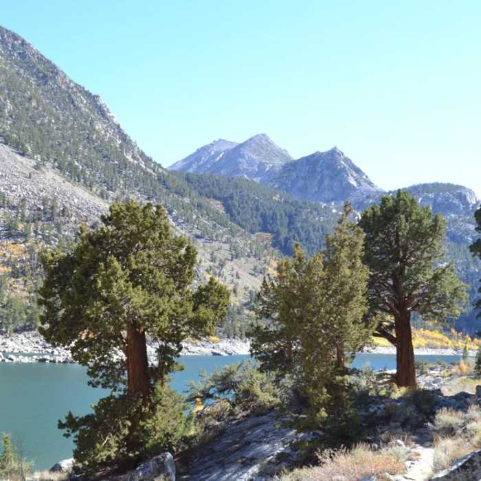 Near Lake Sabrina Inlet Hiking Trail