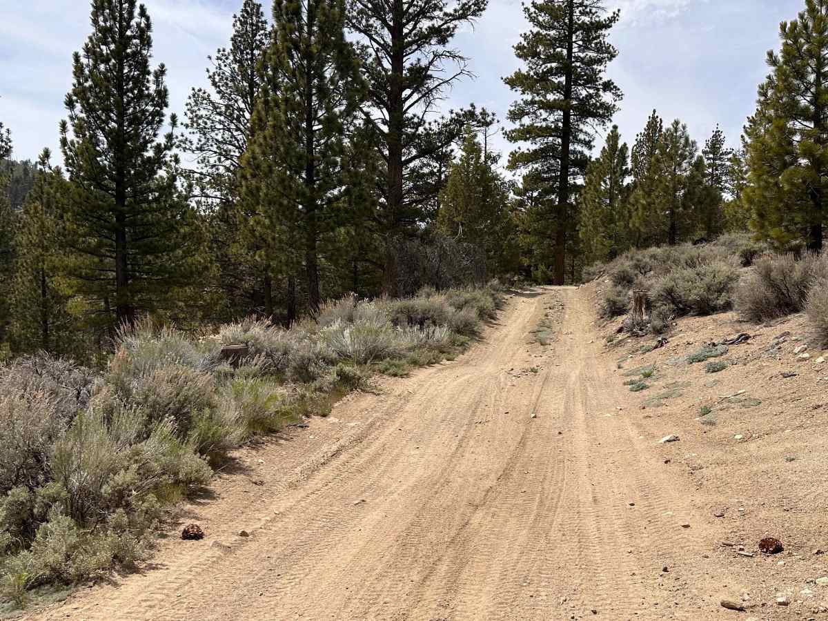 Upper Holcomb PCT photo 4