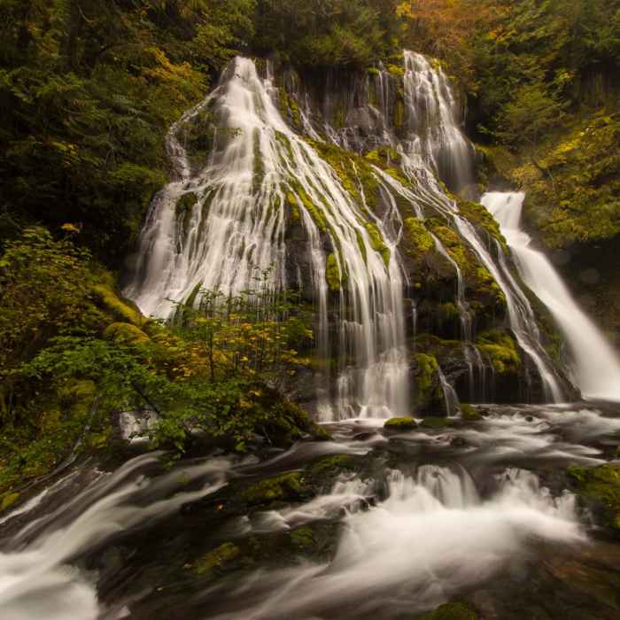 Near Panther Creek Falls