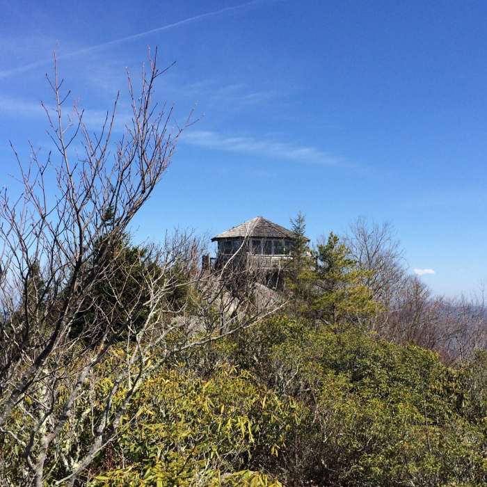 Near Tricorner Knob Loop via Appalachian Trail