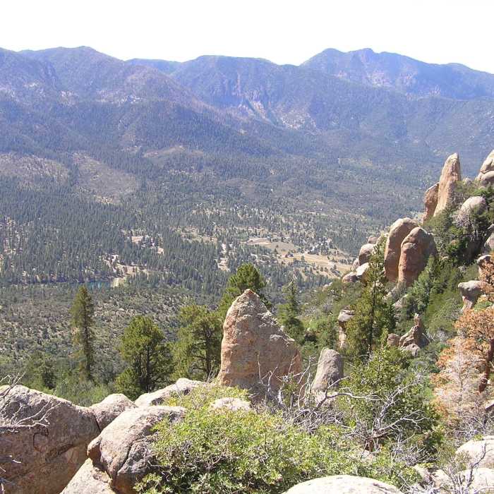 Near Gardner Peak Trail #6