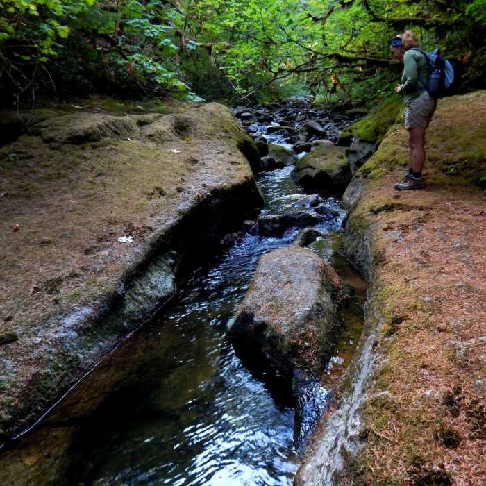 Near Wolf Creek Falls Trail