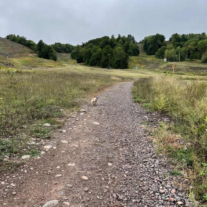 Gradual hill climb Near Mont Ripley Overlook