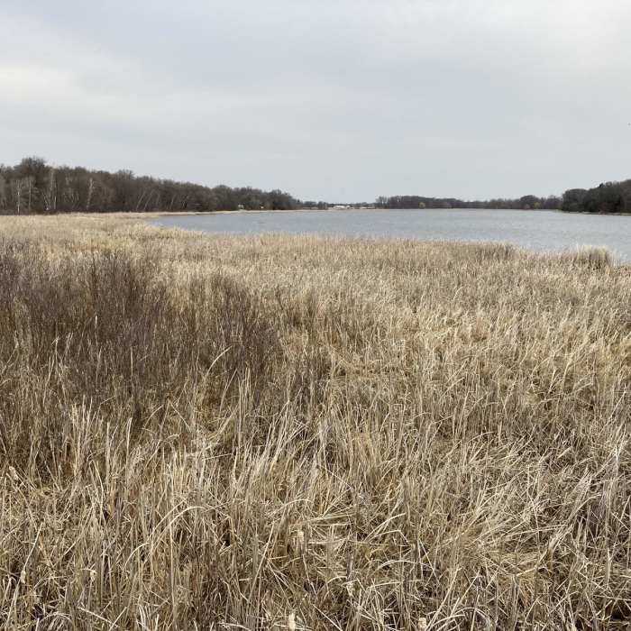 Near Wetlands Loop Trail Near Wetlands Loop Trail