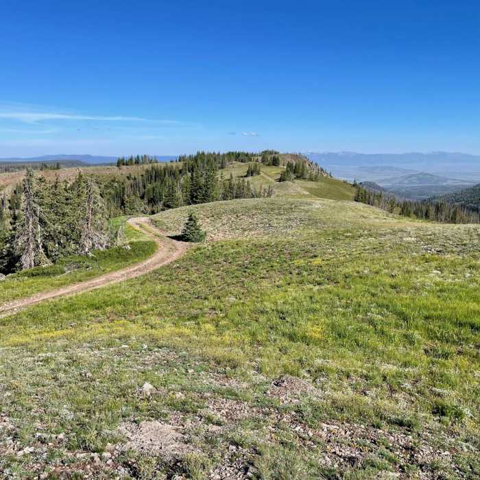 Near Continental Divide Trail: Colorado Section 40