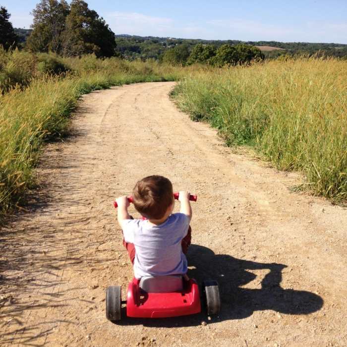 Near Galena View Trail