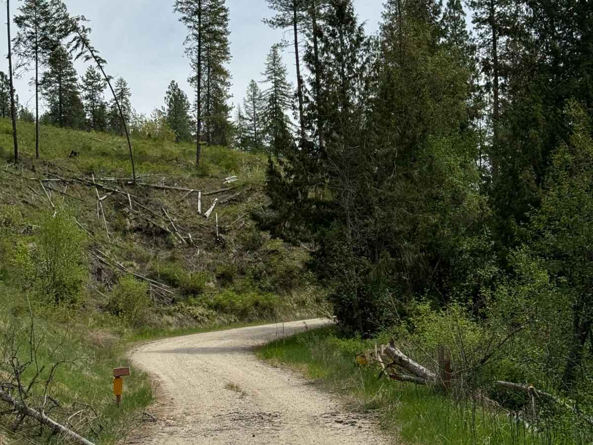 Lane Creek - FS 2000-220 photo 2