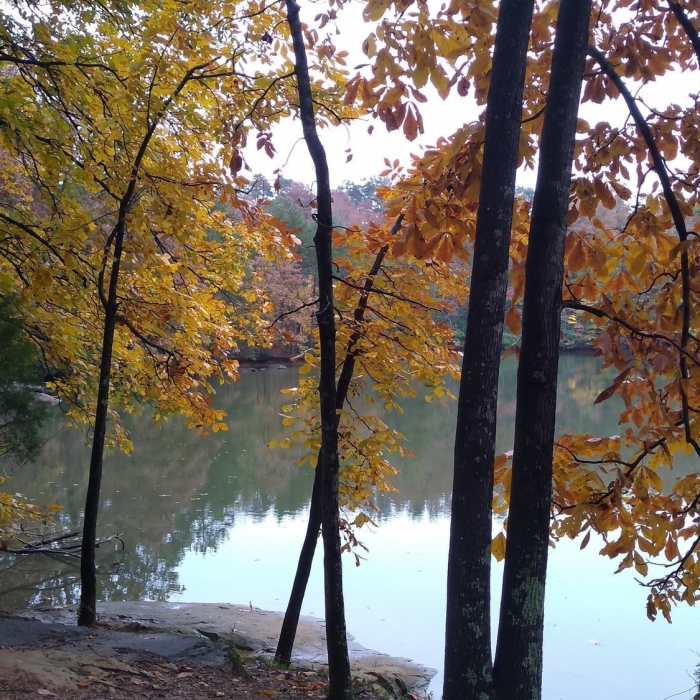 Near Laurel Loop Trail