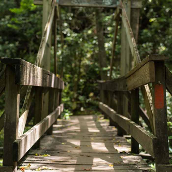 Near John Rock via Cat Gap Loop Near John Rock via Cat Gap Loop