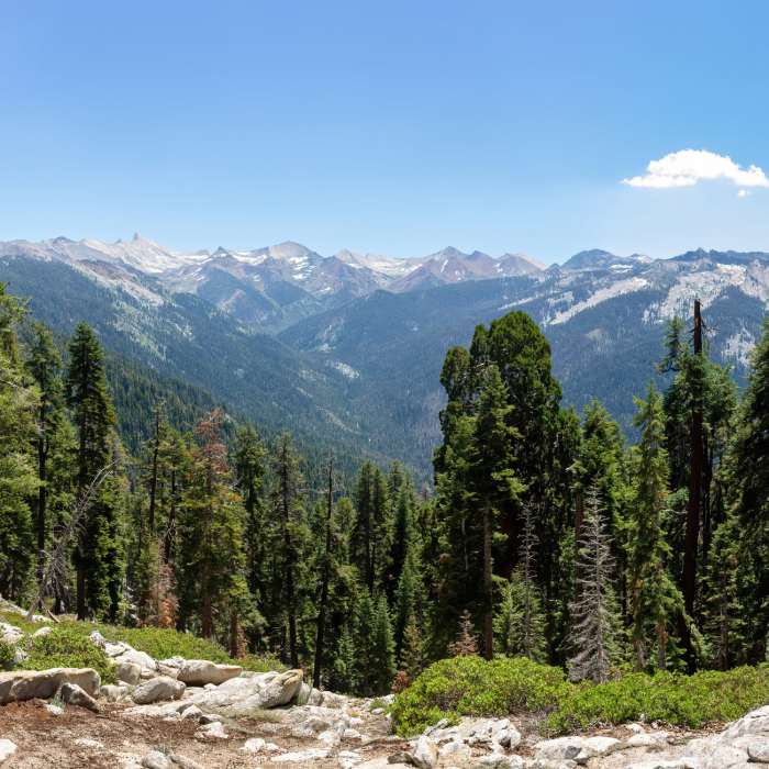 Near Paradise Peak Trail