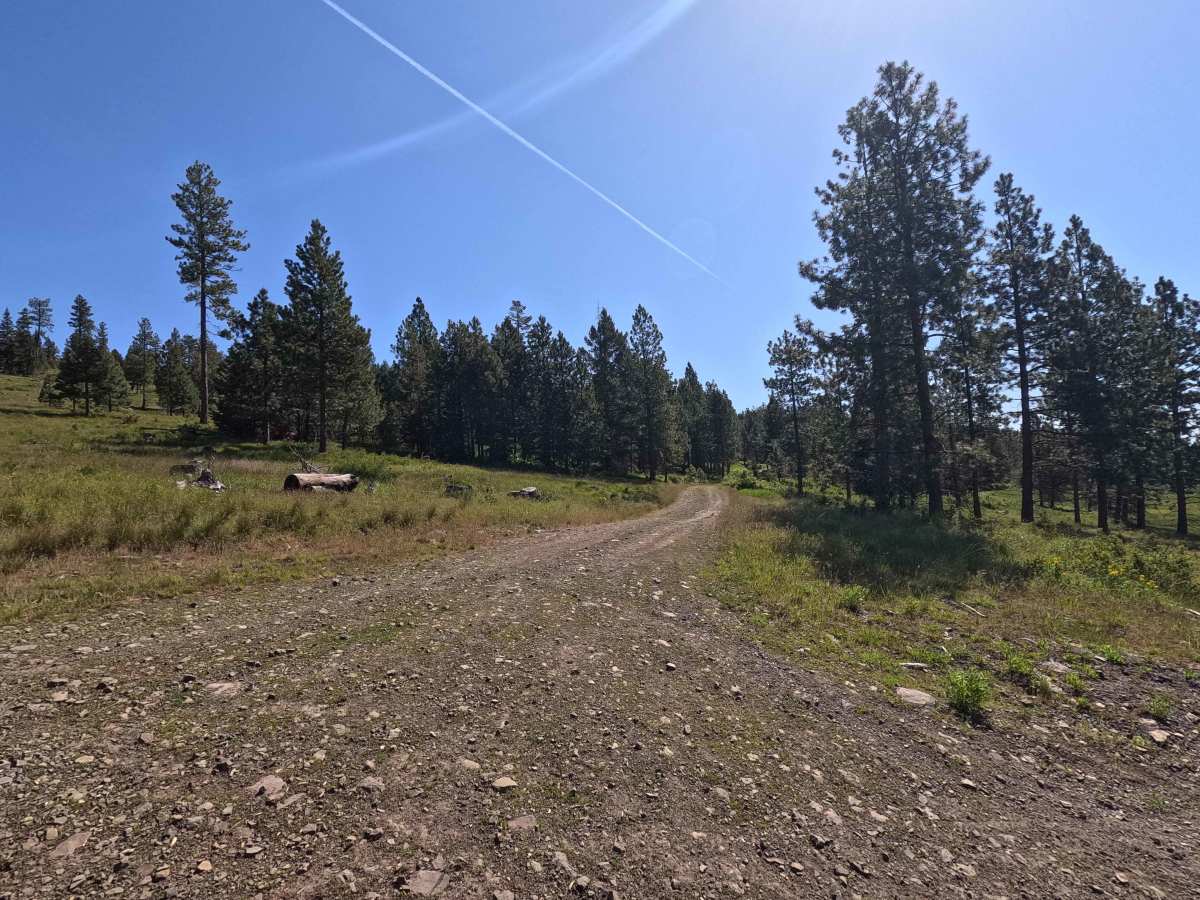 Highline - Trail 203 photo 5