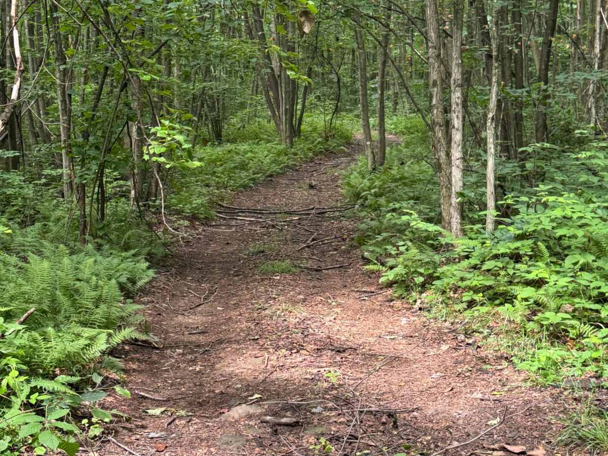 Trail 69 photo 5