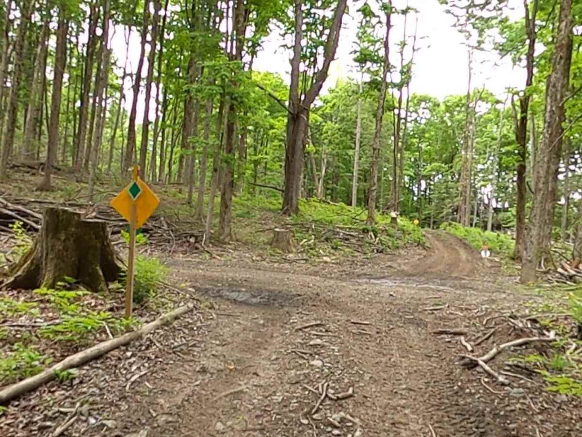 Lewis County Area A - Green Trail photo 6