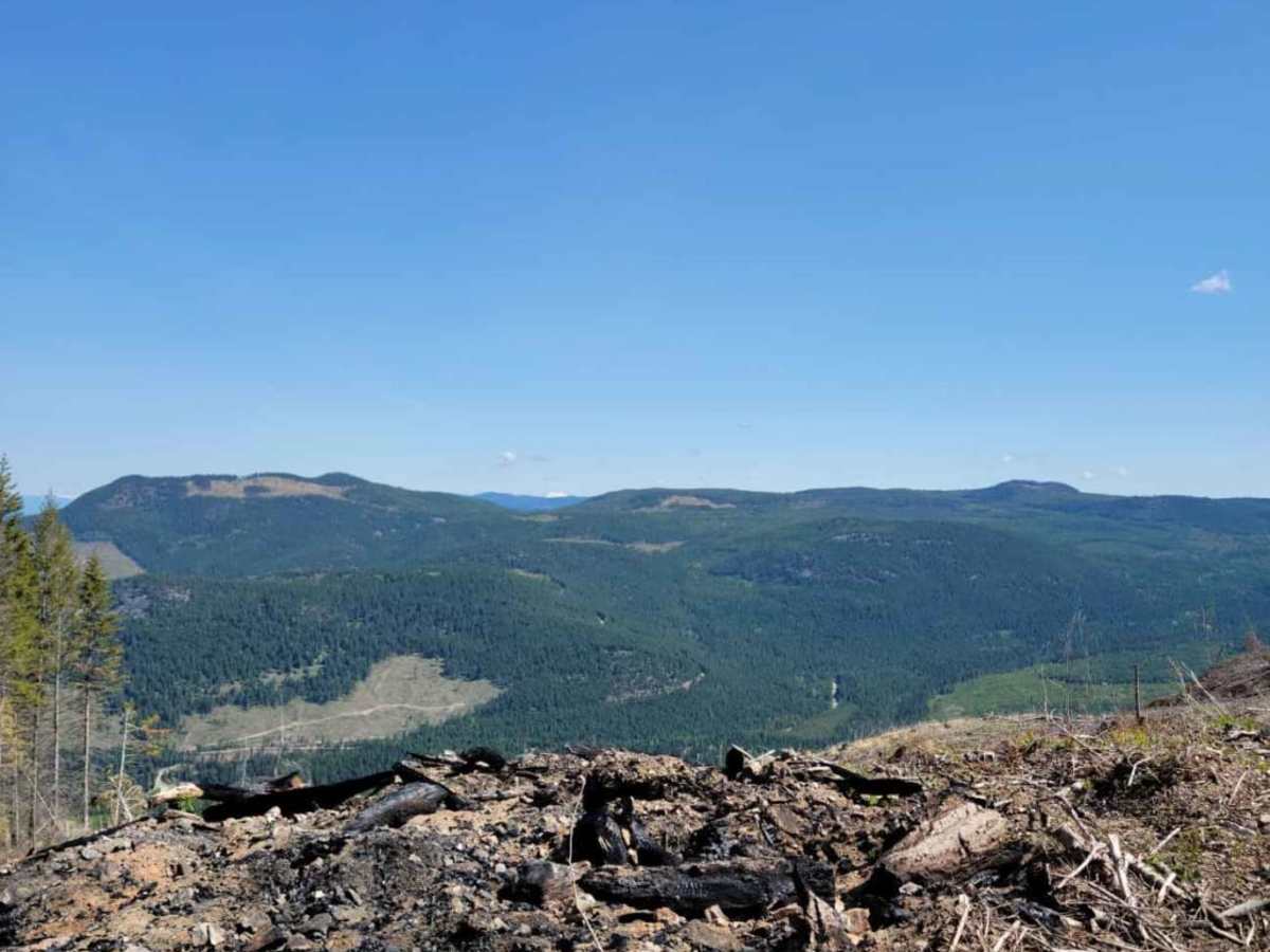 Harris Creek to Summit photo 6