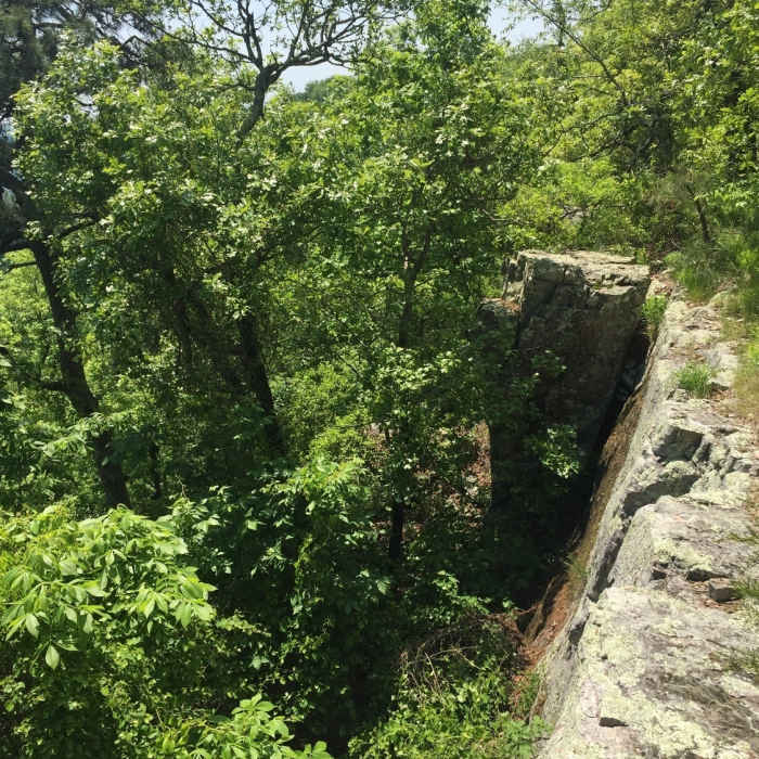 Near Mena Peak Trail