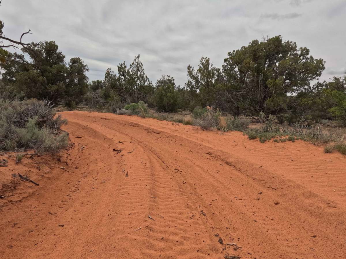 BLM 61E photo 4