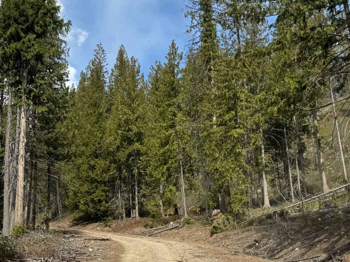East North Boulder Ridge trail photo