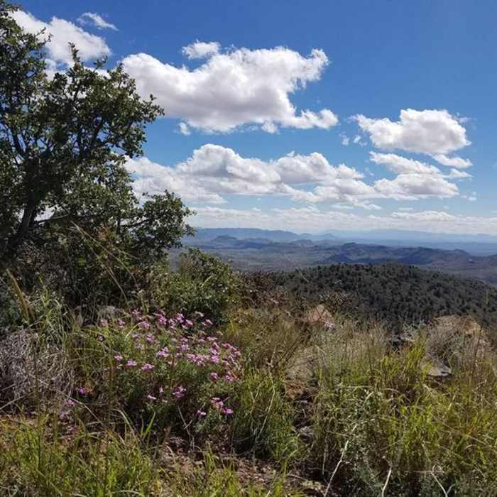Near Guthrie Peak