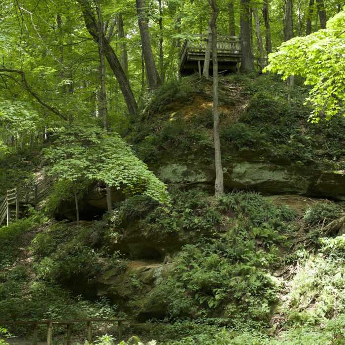 Near Punch Bowl Trail