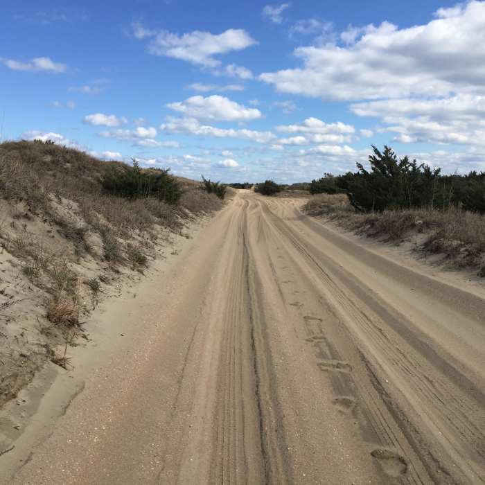 Near Cape Hatteras Point Loop