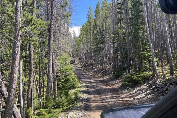 Skyline Mine Trail