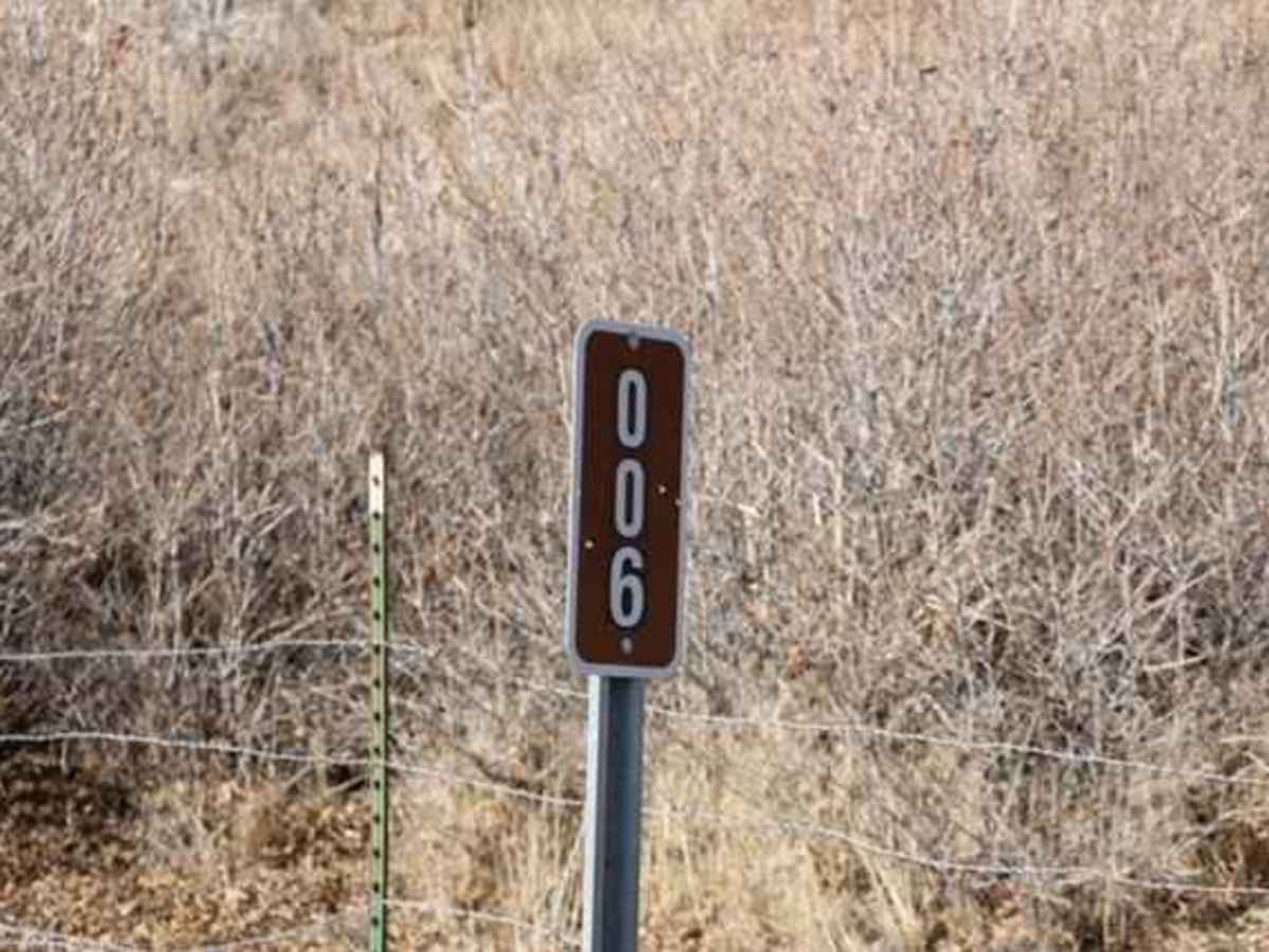 Dairy Fork - FS 50006 trail photo