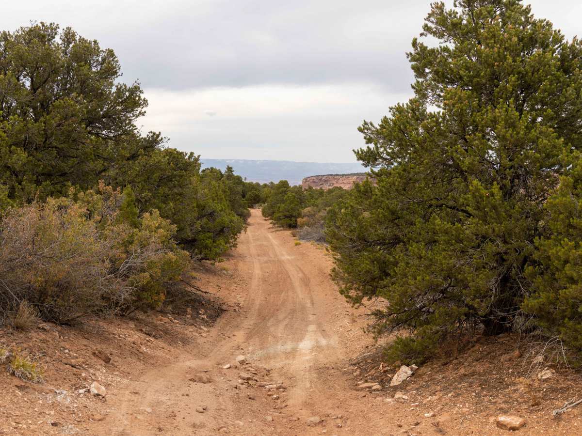 Little Dolores Canyon photo 6