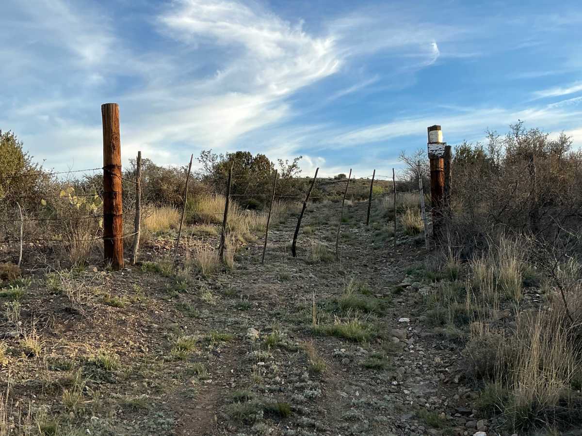Porque Tank Trail photo 3