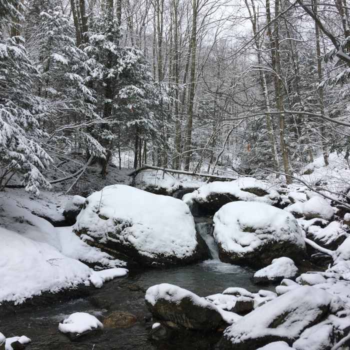 Cascade along Bassett Brook Near Reservoir Road Trail