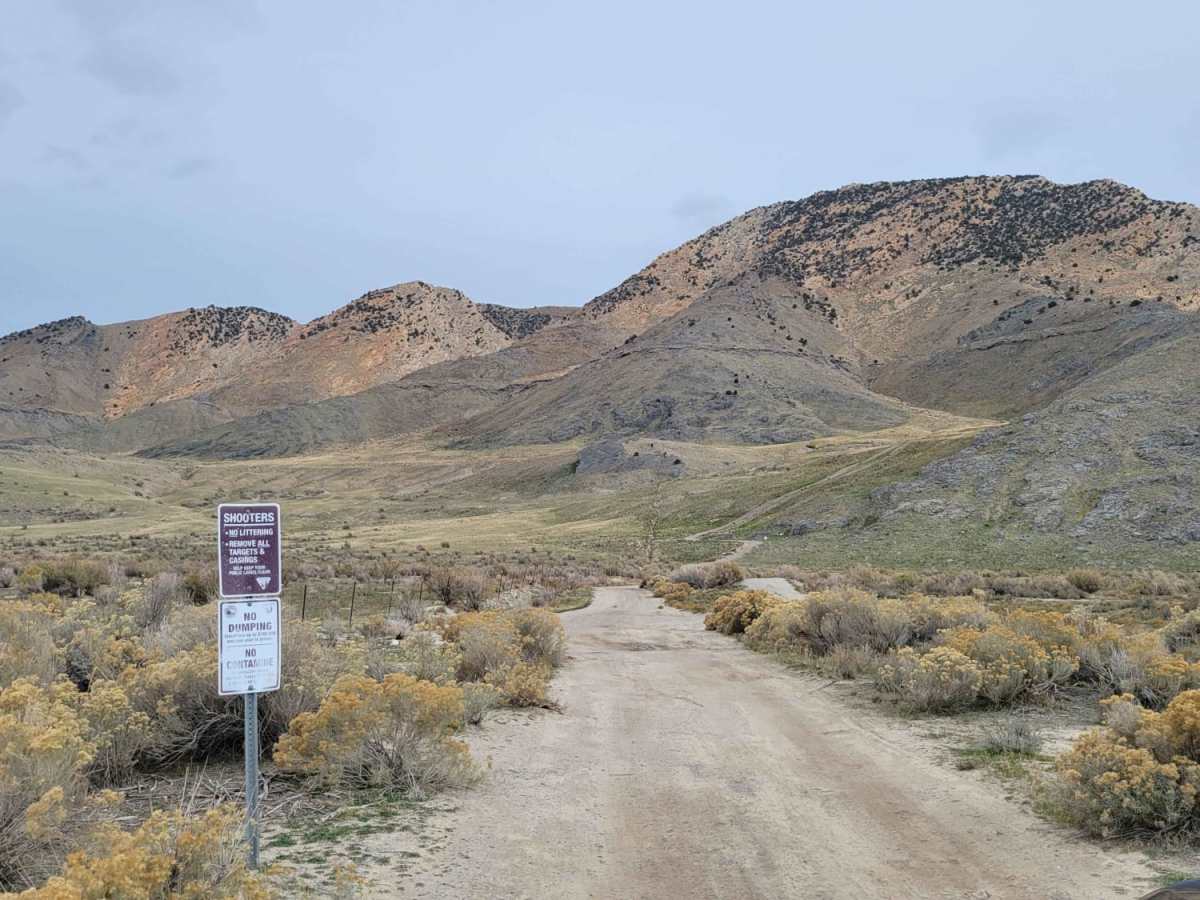 Shotgun Alley photo 4