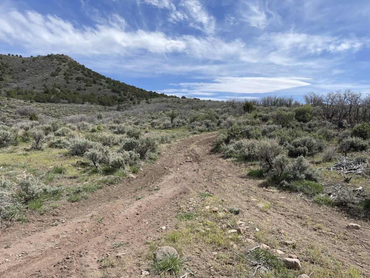 Juniper Ridge photo 4