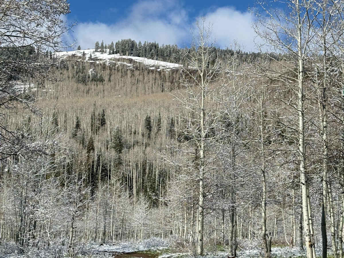 Franklin Basin Utah Section photo 4