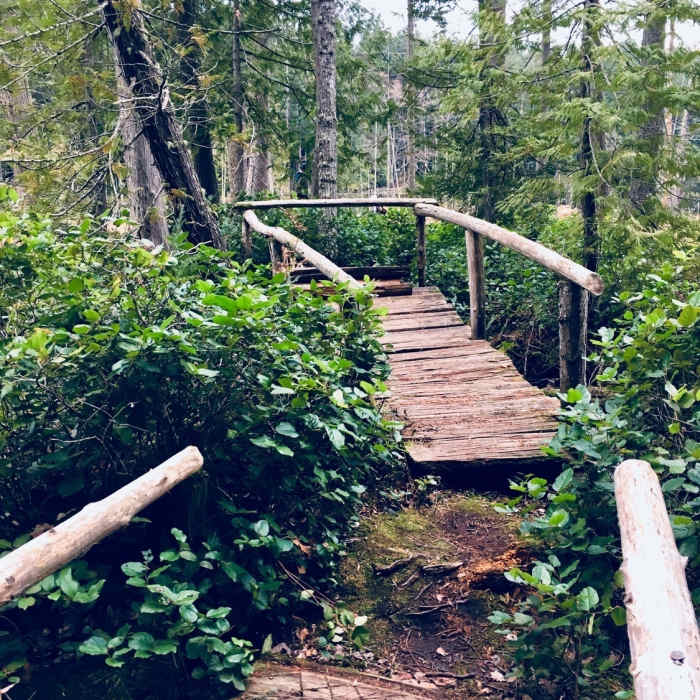 Near Trail 10