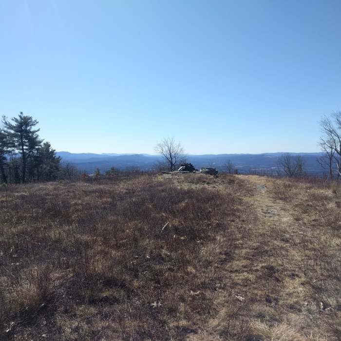 Near Leyden Blueberry Fields