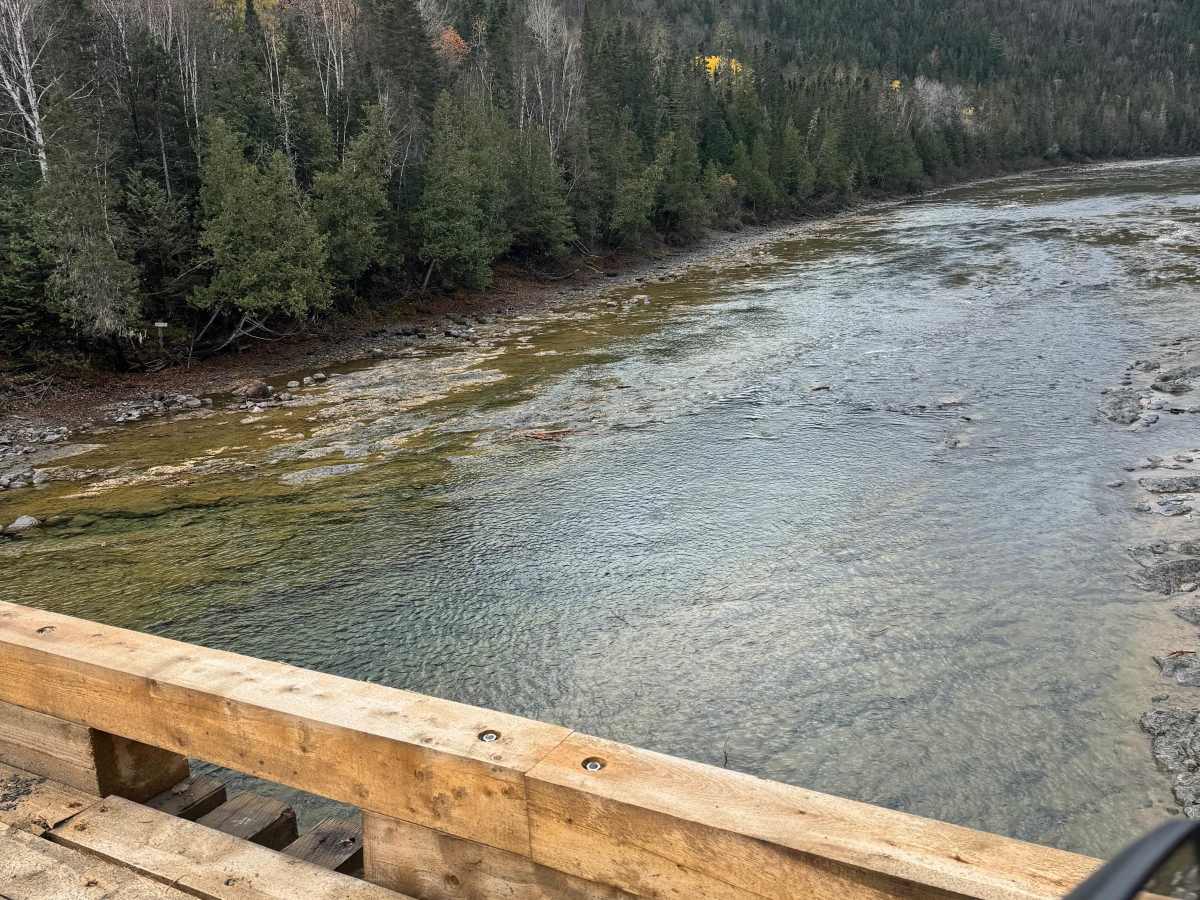 Bonaventure’s Backcountry Trail photo 6