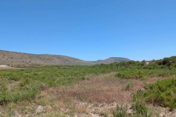 Brownell Lava Bed Road